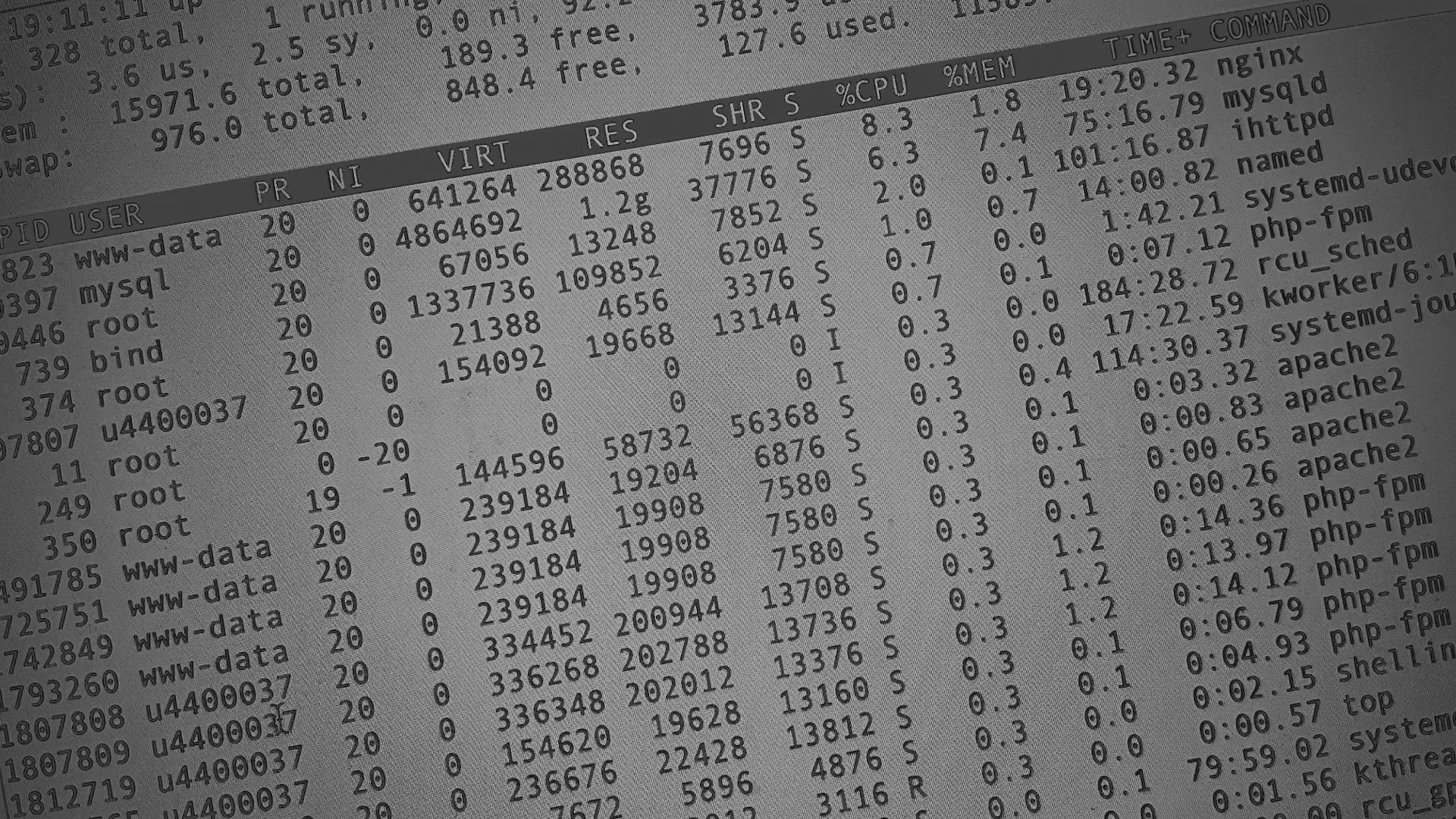 Настройка сервера в Строителе