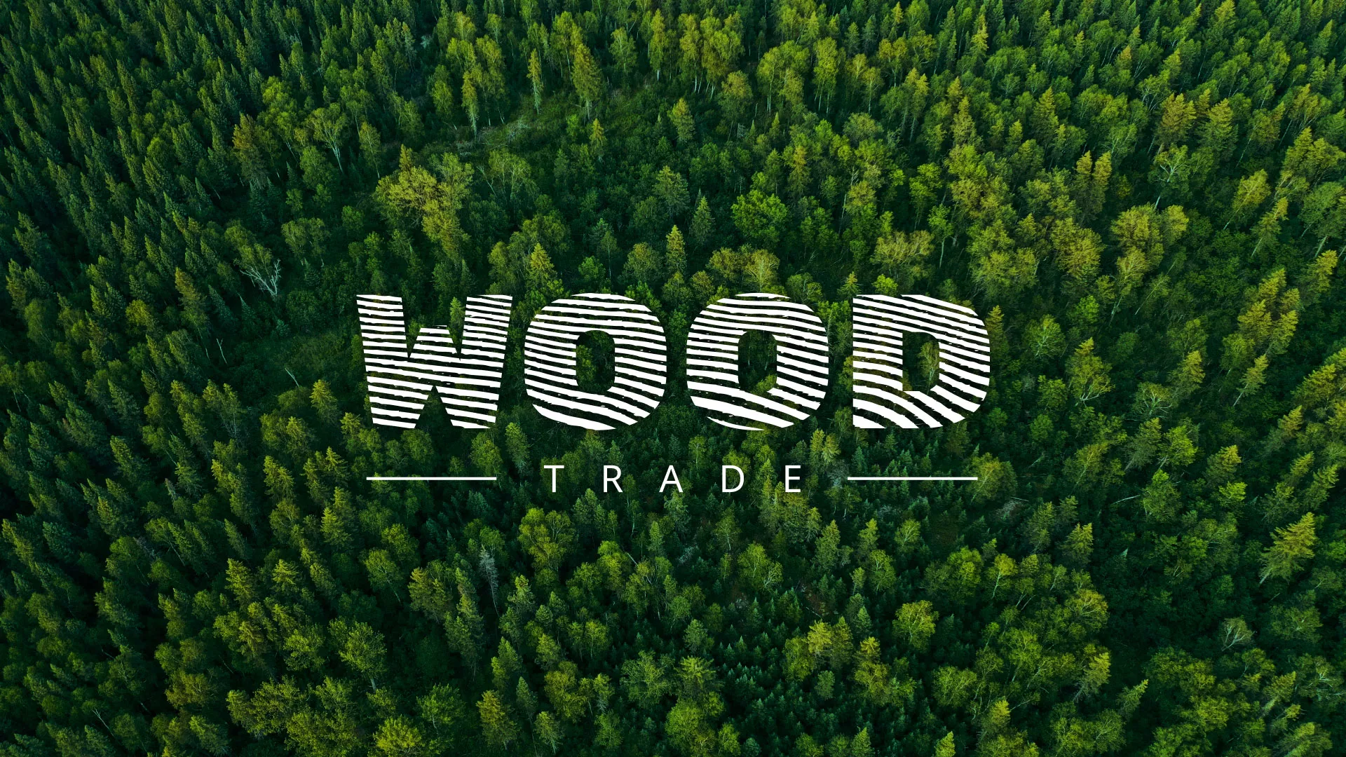Разработка интернет-магазина компании «Wood Trade» в Строителе